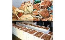 【活】鳥取県産 セコガニ 訳あり 良品 2kg※2025年11月上旬～12月下旬頃に順次発送予定◇