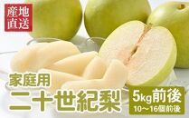 610.【先行予約】【家庭用】二十世紀梨 5kg前後 (10個～16個前後) 鳥取県産 梨 なし※着日指定不可※2025年8月下旬～9月中旬頃に順次発送予定