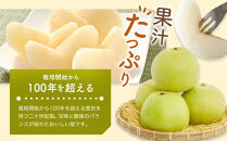 【先行予約】【家庭用】二十世紀梨&nbsp;5kg前後&nbsp;(10個～16個前後)&nbsp;鳥取県産&nbsp;※着日指定不可&nbsp;※2026年8月下旬～9月中旬頃に順次発送予定【梨&nbsp;なし&nbsp;訳あり&nbsp;5kg&nbsp;新鮮&nbsp;2026年&nbsp;令和8年&nbsp;二十世紀&nbsp;鳥取県&nbsp;北栄町&nbsp;おすすめ&nbsp;人気&nbsp;大容量&nbsp;国産&nbsp;送料無料&nbsp;20世紀】