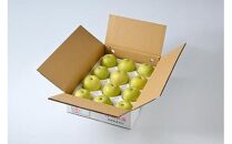 【先行予約】【家庭用】二十世紀梨&nbsp;5kg前後&nbsp;(10個～16個前後)&nbsp;鳥取県産&nbsp;※着日指定不可&nbsp;※2026年8月下旬～9月中旬頃に順次発送予定【梨&nbsp;なし&nbsp;訳あり&nbsp;5kg&nbsp;新鮮&nbsp;2026年&nbsp;令和8年&nbsp;二十世紀&nbsp;鳥取県&nbsp;北栄町&nbsp;おすすめ&nbsp;人気&nbsp;大容量&nbsp;国産&nbsp;送料無料&nbsp;20世紀】