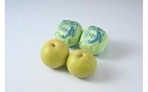 609.【先行予約】【贈答用】 二十世紀梨 5kg前後 (10個～14個前後) 鳥取県産 梨 なし※着日指定不可※2025年8月下旬～9月中旬頃に順次発送予定