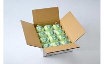 609.【先行予約】【贈答用】 二十世紀梨 5kg前後 (10個～14個前後) 鳥取県産 梨 なし※着日指定不可※2025年8月下旬～9月中旬頃に順次発送予定