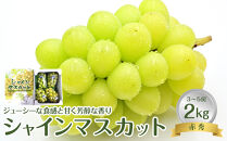 736.【先行予約】【ＪＡ】　シャインマスカット　赤秀2kg箱（3～5房入）　※着日指定不可　※離島への配送不可　※2025年9月初旬頃～9月中旬頃に順次発送予定