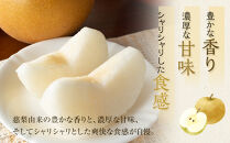 梨&nbsp;王秋&nbsp;5kg（JA）※2025年10月下旬～11月下旬頃に順次発送予定【梨&nbsp;なし&nbsp;ナシ&nbsp;王秋梨&nbsp;おうしゅう&nbsp;フルーツ&nbsp;果物&nbsp;くだもの&nbsp;鳥取県産&nbsp;北栄町&nbsp;おすすめ&nbsp;人気&nbsp;新鮮&nbsp;甘い】