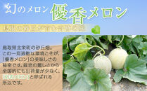 311.【先行予約】幻の「優香メロン」満足の2玉セット　※2026年6月下旬頃より順次発送予定【メロン&nbsp;くだもの&nbsp;果物&nbsp;フルーツ&nbsp;甘い&nbsp;先行予約&nbsp;鳥取県&nbsp;北栄町&nbsp;おすすめ&nbsp;人気】