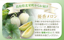 311.【先行予約】幻の「優香メロン」満足の2玉セット　※2026年6月下旬頃より順次発送予定【メロン&nbsp;くだもの&nbsp;果物&nbsp;フルーツ&nbsp;甘い&nbsp;先行予約&nbsp;鳥取県&nbsp;北栄町&nbsp;おすすめ&nbsp;人気】