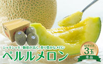 740.【先行予約】【JA】ペルルメロン　秀5L×3玉 ※離島への配送不可 ※2025年6月初旬頃～7月初旬頃に順次発送予定