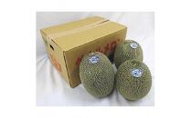 740.【先行予約】【JA】ペルルメロン　秀5L×3玉&nbsp;※離島への配送不可&nbsp;※2026年6月初旬頃～7月初旬頃に順次発送予定【メロン&nbsp;めろん&nbsp;フルーツ&nbsp;果物&nbsp;鳥取県&nbsp;北栄町&nbsp;おすすめ&nbsp;人気】