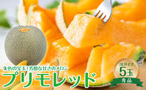 739.【先行予約】【ＪＡ】プリモレッド（赤肉）赤秀3Ｌ×5玉　※着日指定不可　※離島への配送不可　※2025年9月末頃～10月下旬頃に順次発送予定
