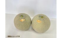 739.【先行予約】【ＪＡ】大栄メロン　プリモレッド（赤肉）赤秀3Ｌ×5玉　※着日指定不可　※離島への配送不可　※2026年9月末頃～10月下旬頃に順次発送予定【メロン&nbsp;めろん&nbsp;フルーツ&nbsp;果物&nbsp;鳥取県&nbsp;北栄町&nbsp;おすすめ&nbsp;人気】