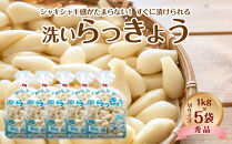 746.【先行予約】【ＪＡ】洗いらっきょう　秀Ｍ・1kg×5袋　※着日指定不可　※離島への配送不可　※2025年5月中旬頃～6月中旬頃に順次発送予定