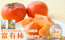 748.【先行予約】【ＪＡ】　富有柿　赤秀2Ｌ 3kg箱（12玉）※着日指定不可　※離島への配送不可　※2025年11月初旬頃～11月下旬頃に順次発送予定