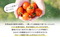 鬼のとまと&nbsp;200g&nbsp;×&nbsp;12袋&nbsp;※2026年6月上旬～10月下旬頃に順次発送予定【トマト&nbsp;とまと&nbsp;野菜&nbsp;やさい&nbsp;高糖度&nbsp;フルーツ&nbsp;感覚&nbsp;鳥取県&nbsp;北栄町&nbsp;おすすめ&nbsp;人気】