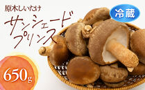 おすすめ 352.[冷蔵]原木しいたけ サンシェードプリンス ※北海道・沖縄・離島 以外への配送 ※2025年12月中旬〜2026年2月上旬頃に順次発送予定|しいたけ 椎茸 野菜 きのこ 新鮮 肉厚 旨味 北栄町 鳥取県 おすすめ 人気