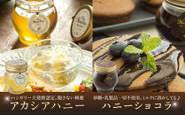 361.ナッツの蜂蜜漬け＆アカシアハニー＆ハニーショコラ＆エトワールのセット｜アカシア アカシアハニー はちみつ 蜂蜜 はちみつ ナッツ 甘い ヘルシー  朝食 クラッカー アーモンド カシューナッツ マカデミアナッツ ショコラ 鳥取県 北栄町 おすすめ 人気