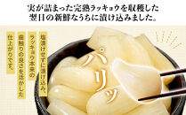 ラッキョウ漬け　（ビン入り：110g×2本・180g×1本　袋入り：180g×1袋）【らっきょう&nbsp;らっきょ&nbsp;ご飯&nbsp;カレー&nbsp;セット商品&nbsp;鳥取県産&nbsp;北栄町&nbsp;おすすめ&nbsp;人気&nbsp;新鮮&nbsp;パリ&nbsp;パリッ】