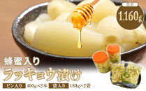 蜂蜜入りラッキョウ漬け　（ビン入り：400g×2本　袋入り：180g×2袋）　※2026年10月中旬～12月下旬頃に順次発送予定【らっきょう&nbsp;らっきょ&nbsp;ご飯&nbsp;カレー&nbsp;セット商品&nbsp;鳥取県産&nbsp;北栄町&nbsp;おすすめ&nbsp;人気&nbsp;新鮮&nbsp;パリ&nbsp;パリッ】