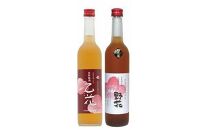 梅酒の飲み比べセット【Ｃ】【お酒&nbsp;梅酒&nbsp;梅&nbsp;野花梅&nbsp;焼酎&nbsp;梅津酒造&nbsp;酒&nbsp;アルコール&nbsp;飲み比べ&nbsp;セット&nbsp;鳥取県&nbsp;北栄町&nbsp;おすすめ&nbsp;人気】