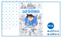 【501,Cセット】コナン百貨店オリジナルクリアファイル