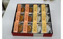  おすすめ 572.のし付[短冊のし 名入れ不可]あんぽ柿・ころ柿セット[化粧箱入り]合計12個入り ※2024年11月中旬頃より順次発送予定