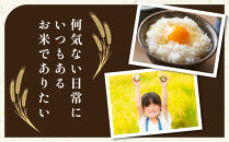 183.日置さん家のお米「ミルキークイーン」5kg×2袋【精米・2026年産】【米&nbsp;ブランド米&nbsp;鳥取県産&nbsp;ごはん&nbsp;白米&nbsp;おにぎり&nbsp;弁当&nbsp;2026年産&nbsp;ミルキークイーン&nbsp;こめ&nbsp;鳥取&nbsp;国産】