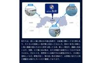 【ボイル】鳥取ブランド　松葉ガニ『五輝星』※2025年11月上旬～2026年3月下旬頃に順次発送予定※着日指定不可