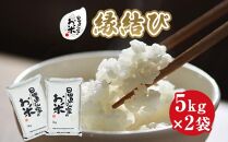 221.日置さん家のお米「縁結び」5kg×2袋【無洗米・2025年産】【米&nbsp;新米&nbsp;ブランド米&nbsp;鳥取県産&nbsp;ごはん&nbsp;白米&nbsp;おにぎり&nbsp;弁当&nbsp;2025年産&nbsp;縁結び&nbsp;こめ&nbsp;鳥取&nbsp;国産】