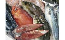 おすすめ 125.鮮魚セット