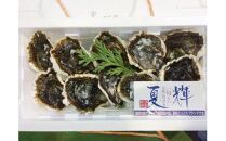 おすすめ 127.鳥取県産 天然 岩ガキ『夏輝』 10個(300g以上×10個) 牡蠣 カキ※着日指定不可※2025年6月上旬〜8月中旬頃に順次発送予定