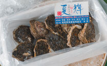 127.【2026年6月上旬以降発送&nbsp;先行予約】鳥取県産　天然　岩ガキ『夏輝』　10個（300g以上×10個）&nbsp;牡蠣&nbsp;カキ※着日指定不可※2026年6月上旬～8月下旬頃に順次発送予定&nbsp;【牡蠣&nbsp;かき&nbsp;岩ガキ&nbsp;いわがき&nbsp;甲殻類&nbsp;新鮮&nbsp;鳥取&nbsp;北栄町&nbsp;おすすめ&nbsp;人気】