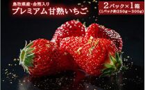 おすすめ 587.プレミアム甘熟いちご ※2026年1月中旬頃〜2026年3月下旬頃に順次発送予定