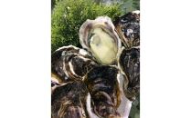 おすすめ 128.鳥取県産 天然岩ガキ『夏輝』 おまかせ3kg(約7〜12個) 牡蠣 カキ※着日指定不可※2025年6月上旬〜8月中旬頃に順次発送予定