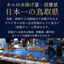 ご自宅用&nbsp;訳ありボイル松葉ガニ&nbsp;大満足のお任せ5kgセット【着日指定不可】※2025年11月上旬～2026年3月下旬頃に順次発送予定&nbsp;｜&nbsp;蟹&nbsp;かに&nbsp;松葉ガニ&nbsp;ボイル&nbsp;松葉蟹&nbsp;訳あり&nbsp;家庭用&nbsp;鳥取県産&nbsp;北栄町&nbsp;おすすめ&nbsp;人気