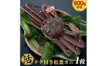 おすすめ 664.[活]タグ付き 松葉ガニ 大1枚(800g前後)◇[着日指定不可]※2025年11月上旬〜2026年3月下旬頃に順次発送予定[かに カニ 蟹]