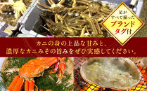 【活】タグ付き　松葉ガニ　大1枚（800g前後）◇【着日指定不可】※2025年11月上旬～2026年3月下旬頃に順次発送予定《かに&nbsp;カニ&nbsp;蟹》