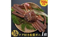 おすすめ 665.[活]タグ付き松葉ガニ 中1枚(700g前後)◇[着日指定不可]※2025年11月上旬〜2026年3月下旬頃に順次発送予定[かに カニ 蟹]