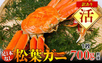 【活】足1本なし訳あり松葉ガニ　中1枚（700g前後）【着日指定不可】※2025年11月上旬～2026年3月下旬頃に順次発送予定《かに&nbsp;カニ&nbsp;蟹》