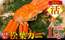 【活】足1本なし　訳あり　松葉ガニ　特大1枚（900g～1kg前後）【着日指定不可】※2025年11月上旬～2026年3月下旬に順次発送予定