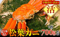 【早期受付】【活】足1本なし　訳あり　松葉ガニ　中1枚（700g前後）《かに&nbsp;カニ&nbsp;蟹&nbsp;ズワイガニ&nbsp;》※着日指定不可※2025年11月上旬頃から順次発送予定【蟹&nbsp;かに&nbsp;松葉ガニ&nbsp;松葉蟹&nbsp;鳥取県産&nbsp;国産&nbsp;松葉ガニ&nbsp;北栄町&nbsp;おすすめ&nbsp;人気】