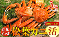 【早期受付】【活】訳あり　松葉ガニおまかせ3kg（5～8枚）《かに&nbsp;カニ&nbsp;蟹&nbsp;ズワイガニ》※着日指定不可※2025年11月上旬頃から順次発送予定