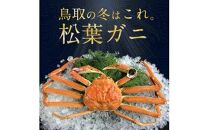 おすすめ 695.[早期受付][ボイル]訳あり 松葉ガニおまかせ3kg(5〜8枚)[かに カニ 蟹 ズワイガニ]※着日指定不可※2025年11月上旬頃から順次発送予定