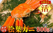 【早期受付】【活】タグ付き松葉ガニ　大1枚（800g前後）《かに&nbsp;カニ&nbsp;蟹&nbsp;ズワイガニ》※着日指定不可※2025年11月上旬頃から順次発送予定|蟹&nbsp;かに&nbsp;松葉ガニ&nbsp;松葉蟹&nbsp;鳥取県産&nbsp;北栄町&nbsp;おすすめ&nbsp;人気