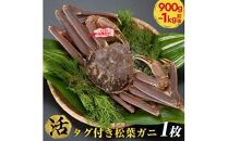 おすすめ 689.[早期受付][活]タグ付き松葉ガニ 特大1枚(900g〜1kg前後)[かに カニ 蟹]※着日指定不可※2025年11月上旬頃から順次発送予定