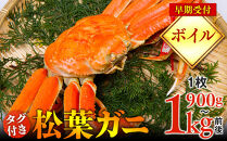 【早期受付】【ボイル】タグ付き松葉ガニ　特大1枚（900g～1kg前後）《かに&nbsp;カニ&nbsp;蟹》※着日指定不可※2025年11月上旬頃から順次発送予定|蟹&nbsp;かに&nbsp;松葉ガニ&nbsp;松葉蟹&nbsp;鳥取県産&nbsp;北栄町&nbsp;おすすめ&nbsp;人気