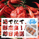 755.【ボイル】【2025年12月～2026年1月発送】特撰 松葉がに【ブランドタグ付き】 特大2杯（1kg超×2杯）