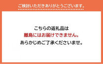 796.【青肉系メロン】ペルルメロン×２玉（1玉2kg前後×2玉） ※離島への配送不可 