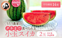 【先行予約】798.種ごと食べられる！小玉スイカ【ピノ・ガール】2玉（1玉2kg前後×2玉）※着日指定不可※離島への配送不可【西瓜&nbsp;スイカ&nbsp;すいか&nbsp;果物&nbsp;フルーツ&nbsp;鳥取県&nbsp;北栄町&nbsp;おすすめ&nbsp;人気&nbsp;送料無料】