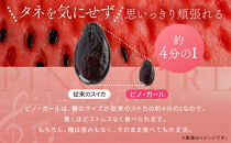 【先行予約】798.種ごと食べられる！小玉スイカ【ピノ・ガール】2玉（1玉2kg前後×2玉）※着日指定不可※離島への配送不可【西瓜&nbsp;スイカ&nbsp;すいか&nbsp;果物&nbsp;フルーツ&nbsp;鳥取県&nbsp;北栄町&nbsp;おすすめ&nbsp;人気&nbsp;送料無料】