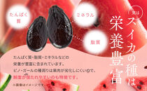 【先行予約】798.種ごと食べられる！小玉スイカ【ピノ・ガール】2玉（1玉2kg前後×2玉）※着日指定不可※離島への配送不可【西瓜&nbsp;スイカ&nbsp;すいか&nbsp;果物&nbsp;フルーツ&nbsp;鳥取県&nbsp;北栄町&nbsp;おすすめ&nbsp;人気&nbsp;送料無料】