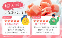 【先行予約】798.種ごと食べられる！小玉スイカ【ピノ・ガール】2玉（1玉2kg前後×2玉）※着日指定不可※離島への配送不可【西瓜&nbsp;スイカ&nbsp;すいか&nbsp;果物&nbsp;フルーツ&nbsp;鳥取県&nbsp;北栄町&nbsp;おすすめ&nbsp;人気&nbsp;送料無料】